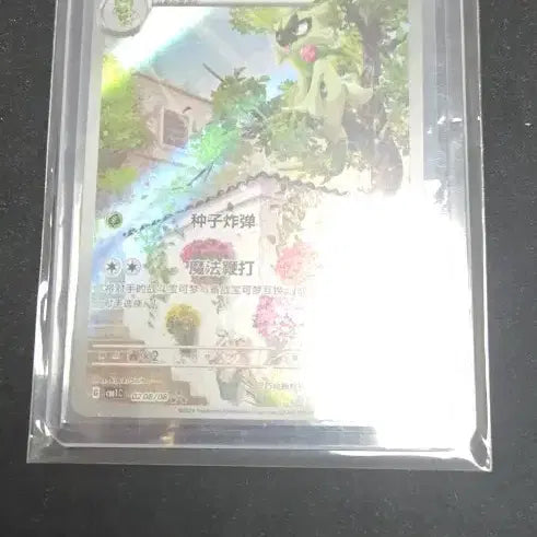 [BUNJANG] Chinese Pokémon Card Dinglestar SSSS-Grade / 포켓몬카드 중국 ssss급