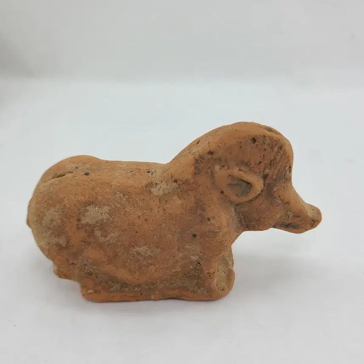 [BUNJANG] Antique Terracotta Pig Figurine / 토기 돼지