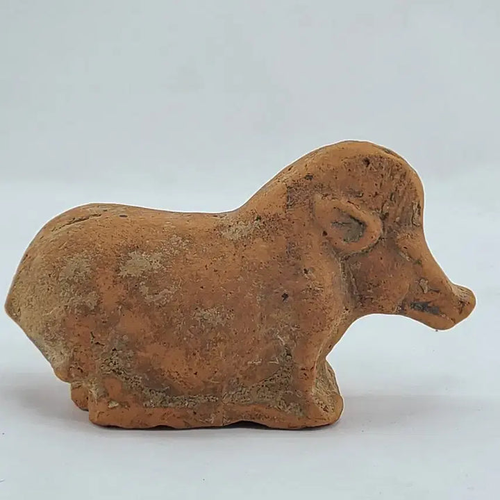 [BUNJANG] Antique Terracotta Pig Figurine / 토기 돼지