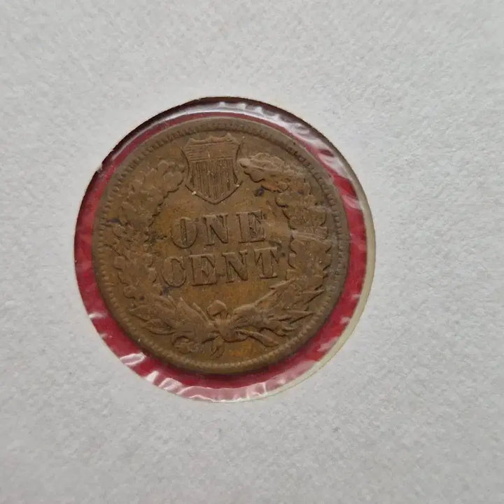 [BUNJANG] USA Indian Head 1 Cent Coin (1900) / 미국 1900년 인디언헤드 1센트 동전