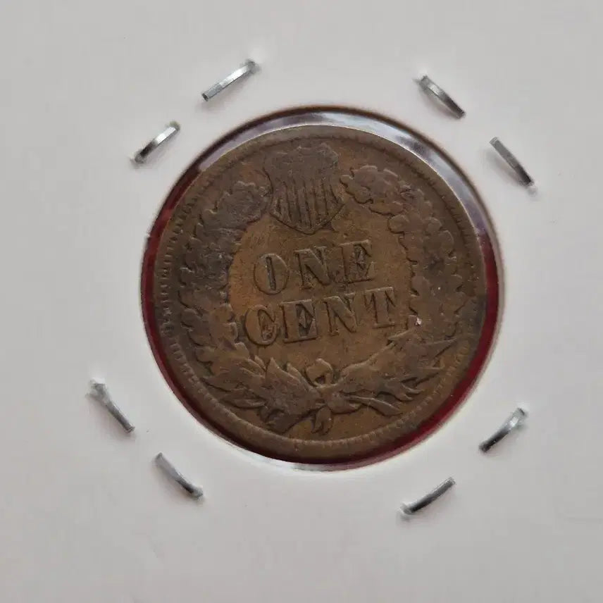 [BUNJANG] 1899 Indian Head Cent Coin / 미국 1899년 인디언헤드 1센트 동전