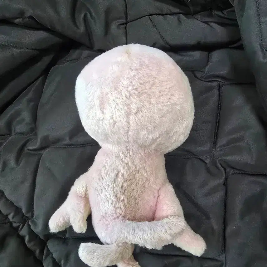 [BUNJANG] Bobo Seal Plush Doll / 안아줘요 보보 물개인형