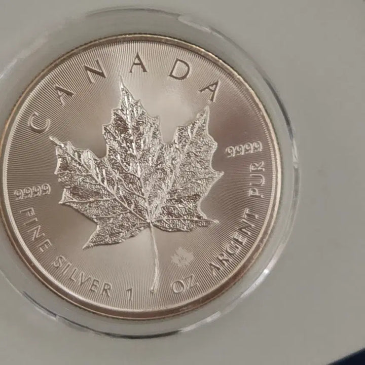 [BUNJANG] 2016 Canadian Maple Leaf 1 oz Silver Coin / 캐나다 메이플 1온스 은화 2016년
