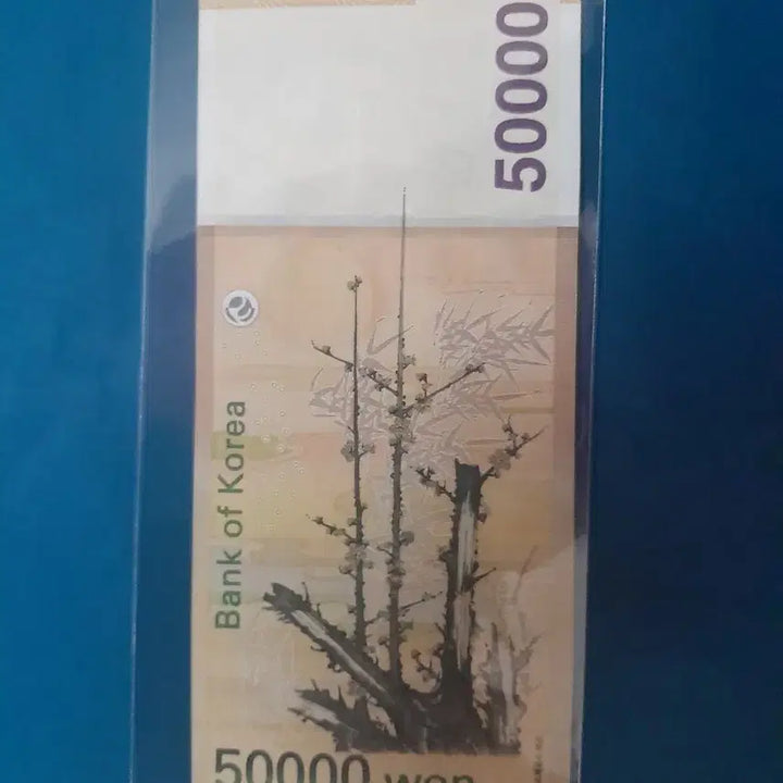 [BUNJANG] 50,000 Won Banknote - Raider Series / 오만원권 레이더지폐