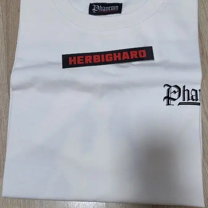 [BUNJANG] Park Hyo Shin Phantom White T-Shirt M Size / 박효신 팬텀 화이트 티셔츠