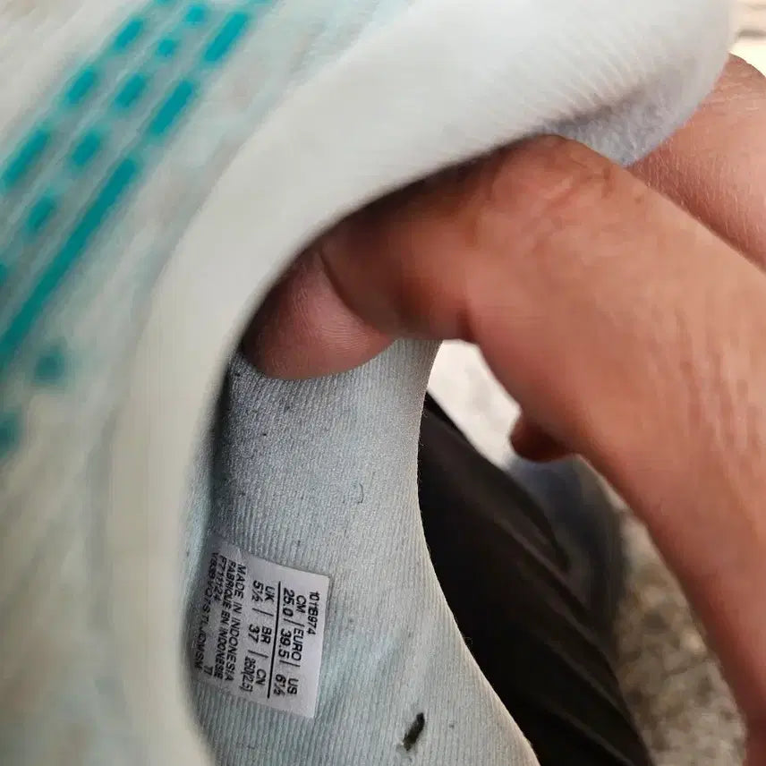 [BUNJANG] Asics NovaBlast 5 Running Shoes (250mm) / 아식스 노바블라스트5 250