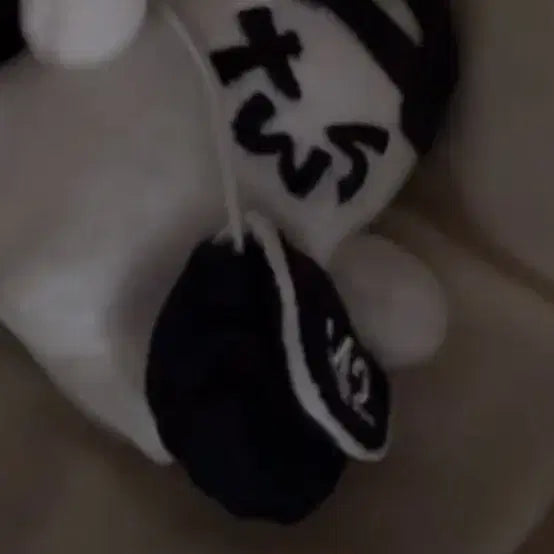 [BUNJANG] TWS TORYUNG Keyring / 투어스 투령이 1주년키링양도판매