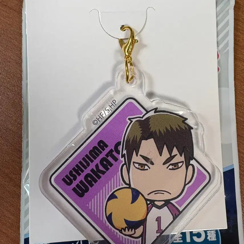 [BUNJANG] Haikyuu!! Ushijima Acrylic Keyring - Daiso Limited Edition / 하이큐 다이소 우시지마 아크릴 키링