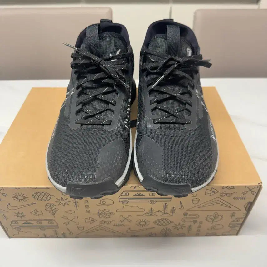 [BUNJANG] Nike Pegasus Trail Gore-Tex Running Shoes / 나이키 페가수스 트레일 고어텍스 팝니다.