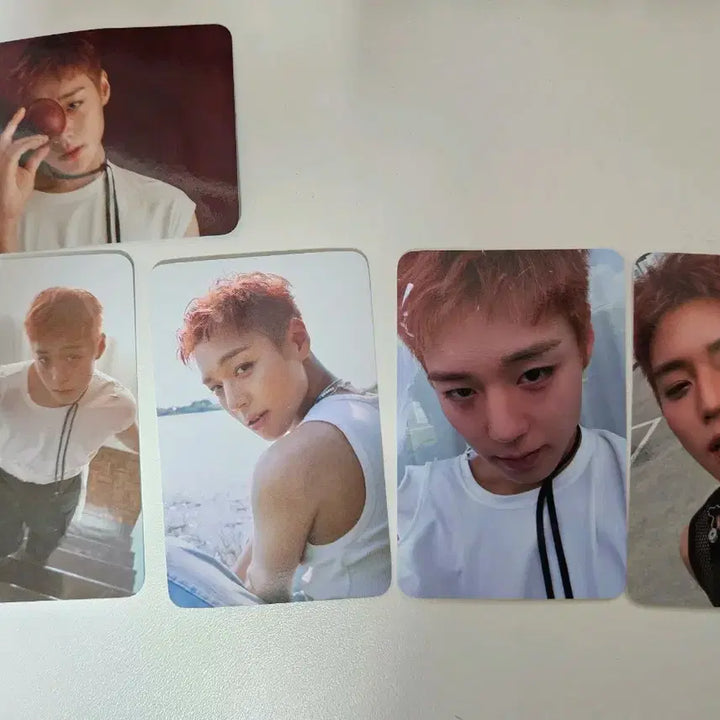 [BUNJANG] Park Jihoon PLVE Album Photocard / 박지훈 플브 plve 앨범 포카