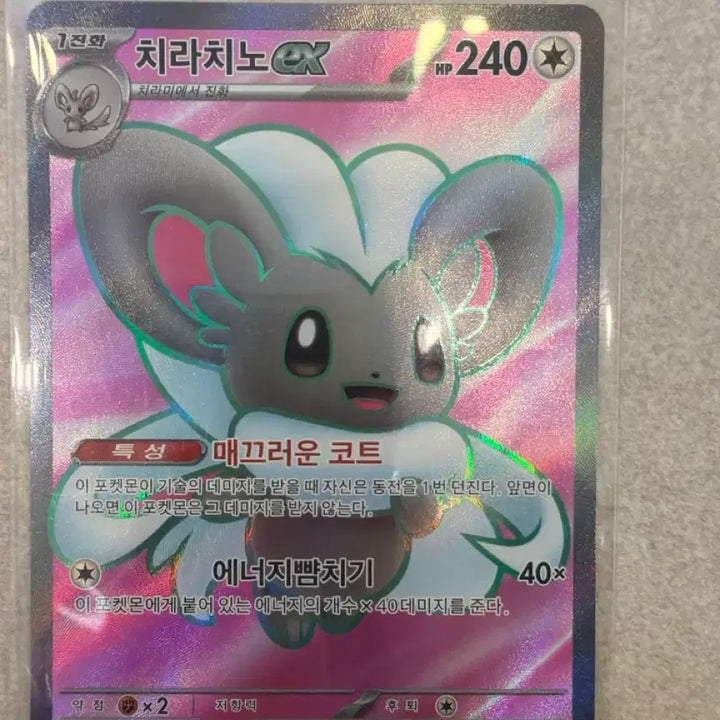 [BUNJANG] Chirachino SR Card / 치라치노 SR