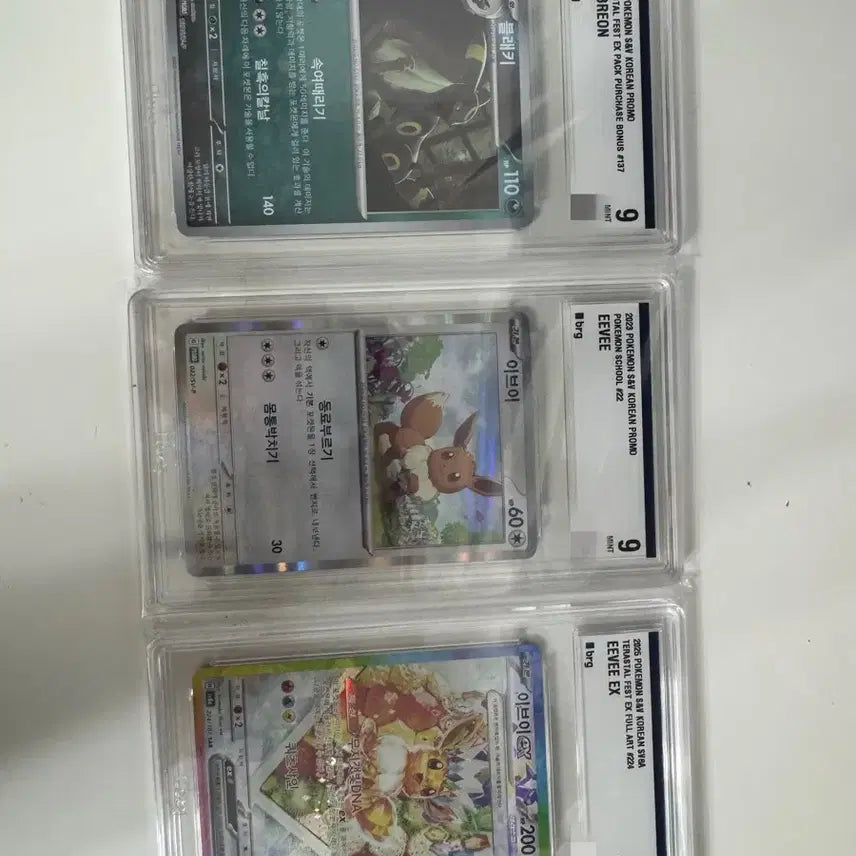 [BUNJANG] Umbreon Promo / Eevee Promo / Eevee ex SAR BRG9 Graded Card / 포켓몬 카드 블래키 프로모 /이브이 프로모 /이브이ex sar brg9