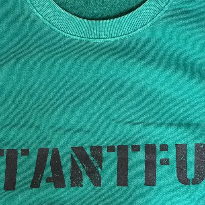 [BUNJANG] Instantfunk Pigment Mint Sweatshirt / [2] 인스턴트펑크 피그먼트 민트 맨투맨