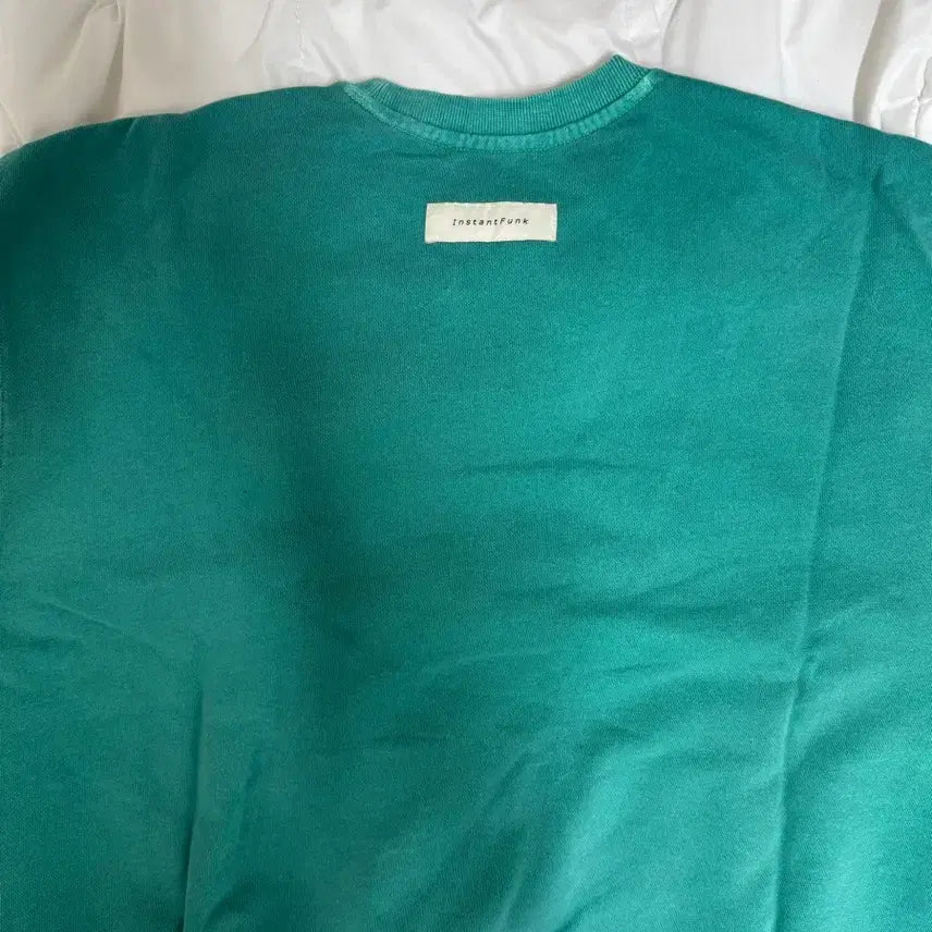 [BUNJANG] Instantfunk Pigment Mint Sweatshirt / [2] 인스턴트펑크 피그먼트 민트 맨투맨