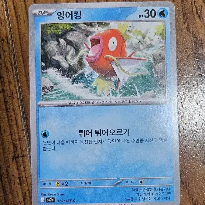 [BUNJANG] Gyarados Normal Card / 포켓몬 잉어킹 노말카드