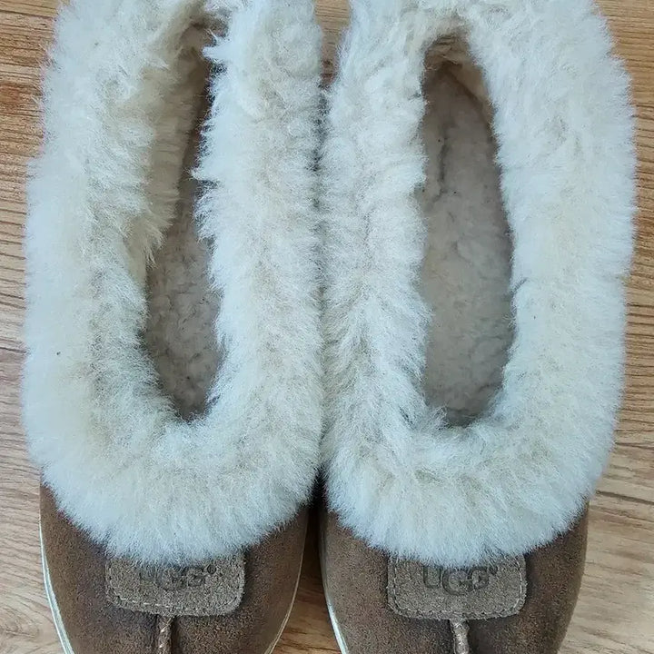 [BUNJANG] UGG Ankle Shoes Size 240 / 어그 240사이즈