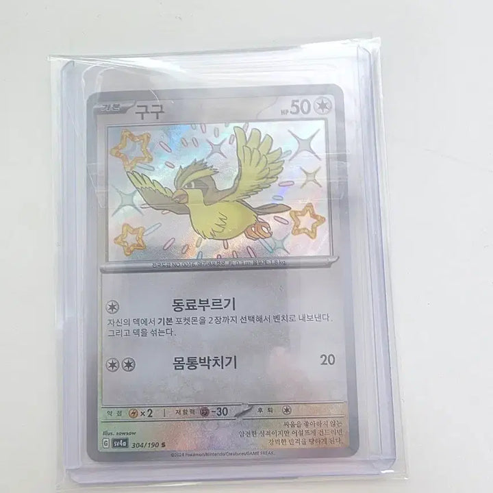 [BUNJANG] Shiny Pidgey S Pokemon Card SV4a Shiny Treasure / 포켓몬카드 이로치 구구 S