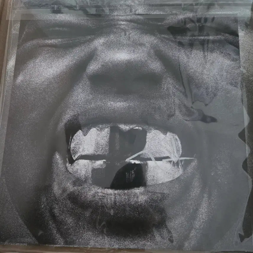 [BUNJANG] Kanye West BULLY LP Signed Edition / Ye(칸예 웨스트)-12집 BULLY(불리) [LP]싸인반