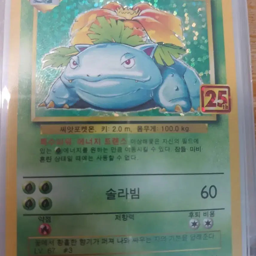 [BUNJANG] Pokemon 25th Anniversary Venusaur Card / 포켓몬카드 25주년