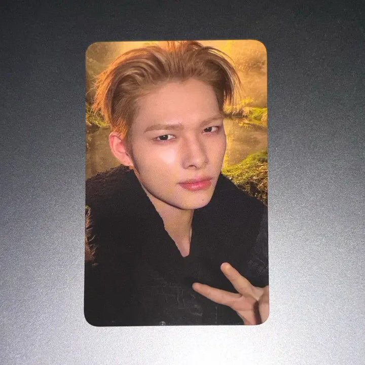 [BUNJANG] ENHYPEN Niki Blood Sweat &amp; Tears Photocard / 엔하이픈 블러드사가 엔진존 니키 포카 양도 enhypen niki