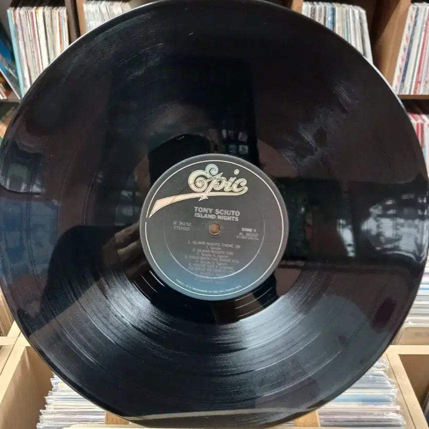 [BUNJANG] Tony Sciuto LP (Mint Condition) / 민트급  TONY SCIUTO LP