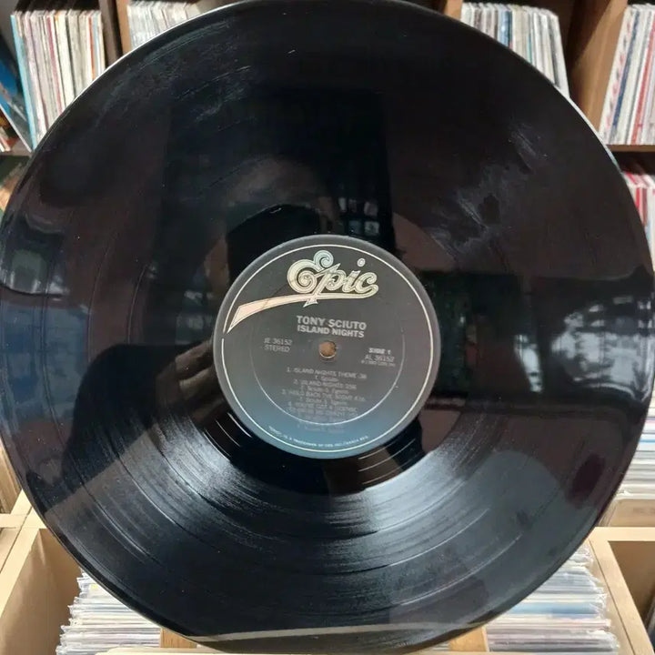 [BUNJANG] Tony Sciuto LP (Mint Condition) / 민트급  TONY SCIUTO LP