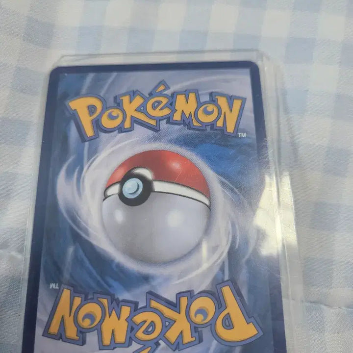 [BUNJANG] Pokemon Card Eevee EX Terastal SAR / 포켓몬 카드 에브이 EX 테라스탈 SAR