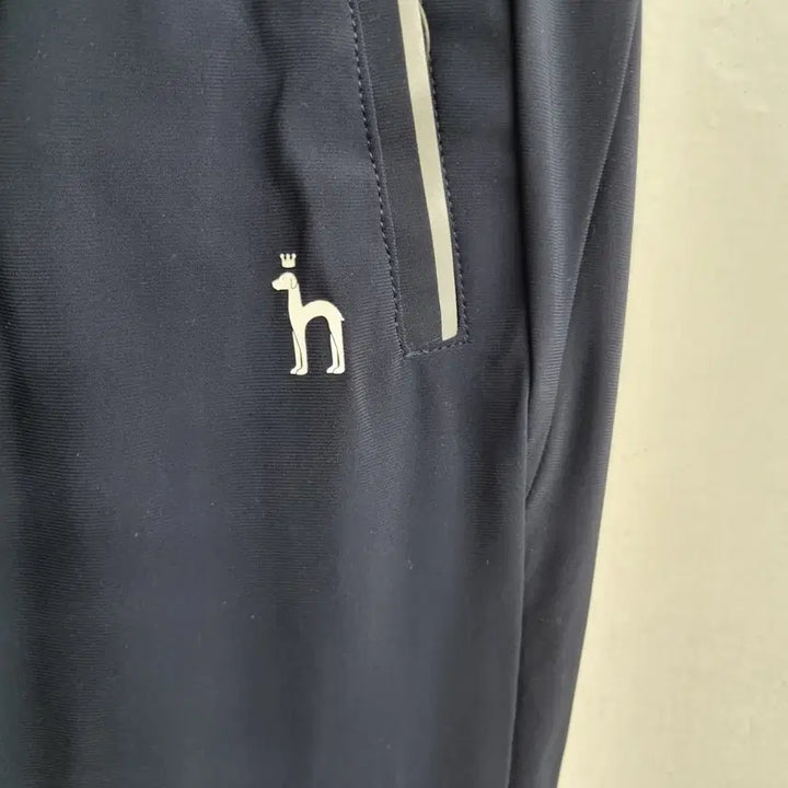 [BUNJANG] Hezars Training Pants (Spring/Summer) / [95/M] 헤자스 트레이닝 팬츠 (봄여름용)