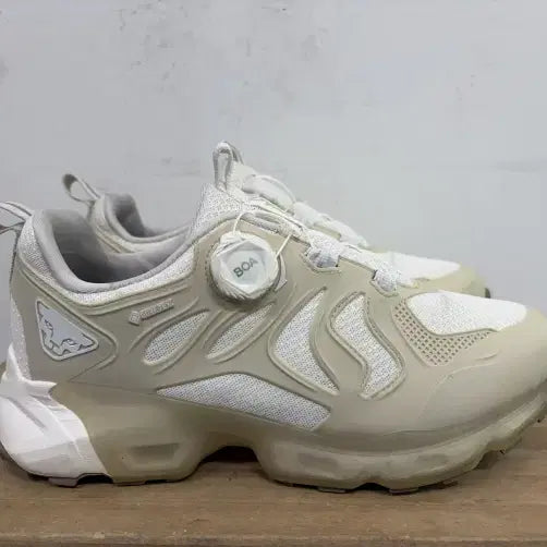 [BUNJANG] Dynafit Gore-Tex Running Shoes Size 260 / 다이나핏 고어텍스 런닝화 260