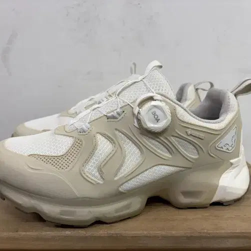 [BUNJANG] Dynafit Gore-Tex Running Shoes Size 260 / 다이나핏 고어텍스 런닝화 260