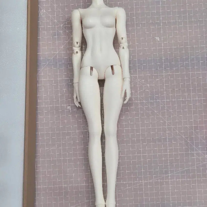 [SOLD OUT] 미사용 풀박스 msd 구관 바디 구체관절인형 몸 미백