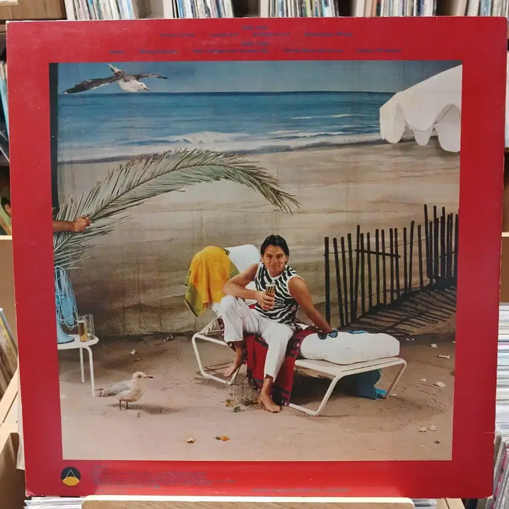 [BUNJANG] Timothy B. Schmit LP - Mint Condition / 민트급 TIMOTHY B SCHMIT LP