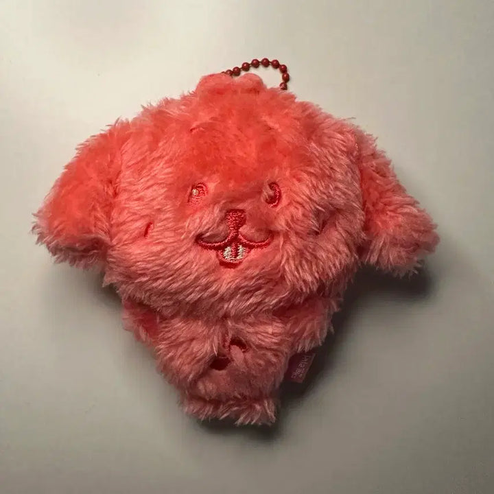 [BUNJANG] NCT Wish Jaehee Color Wish Doll Dantriever (Red) / 컬러 위시돌 댕트리버 빨강색 엔시티위시 재희