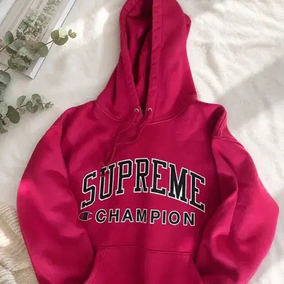 [BUNJANG] Supreme Champion Hoodie / 슈프림 챔피온 후드티 정품 교신 가능