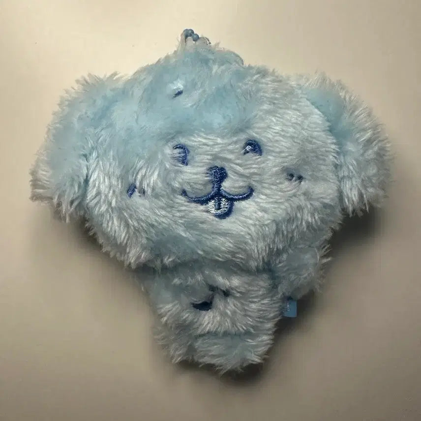 [BUNJANG] Color Wish Doll Deumtreever Blue NCT Wish Jaehee / 컬러 위시돌 댕트리버 파랑 엔시티위시 재희