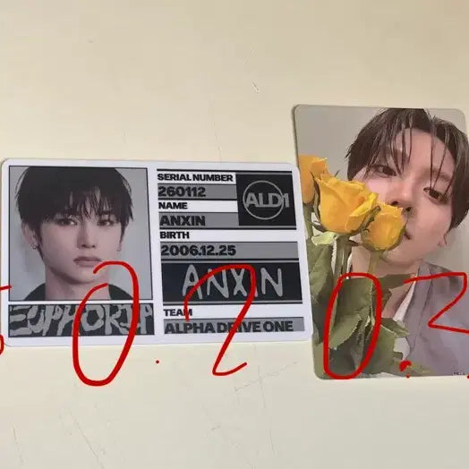 [BUNJANG] Lee Sangwon Jo Wooshin Kim Geonwoo Alphadrive1 Photocard Bundle Set / 이상원 조우안신 김건우 알디원 알파드라이브원 상원 안신 건우 포카