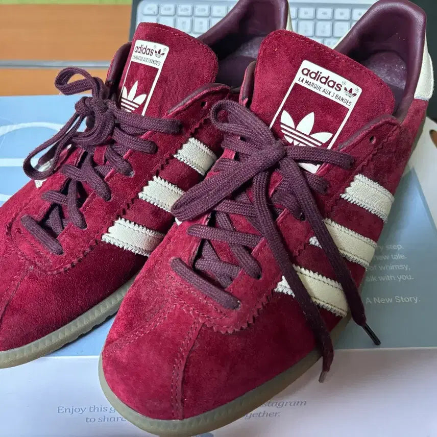 [BUNJANG] Adidas Bermuda Burgundy Men&