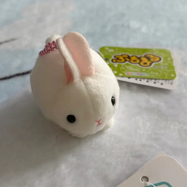 [BUNJANG] Amuse Puchimaru Animal Keychain New / 어뮤즈 푸치마루 동물 키링 새상품