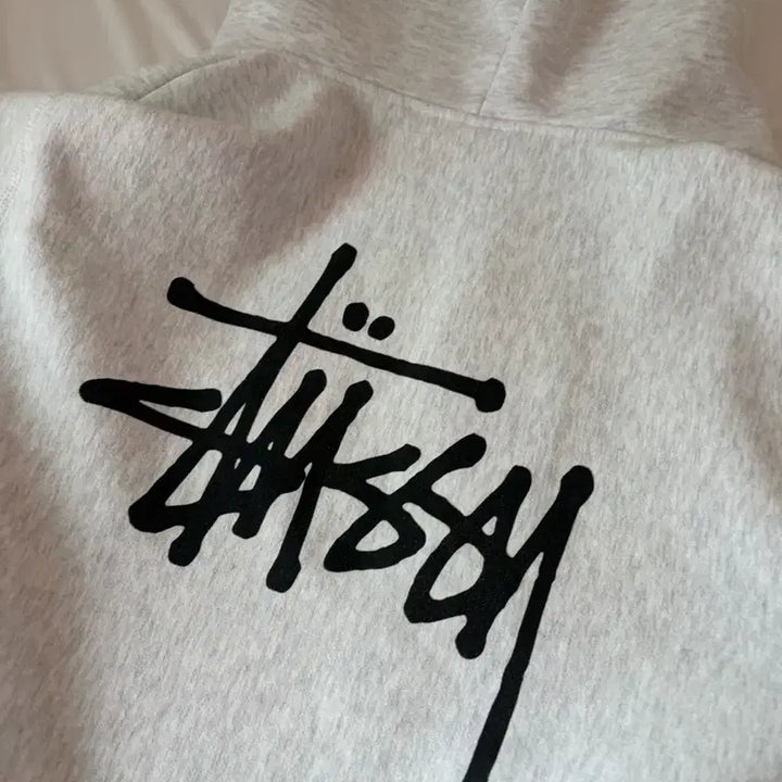 [BUNJANG] Stussy Ashdown Basic Zip-Up Hoodie / 스투시 애쉬헤더 베이직 후드집업