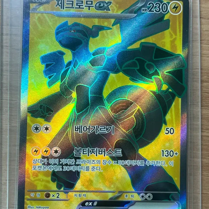 [BUNJANG] Pokemon Card Set: Zekrom EX, Mega Absol SR, Yogado RAM SR / 포켓몬 카드 제크로무 EX, 메가앱솔, 요가램 SR