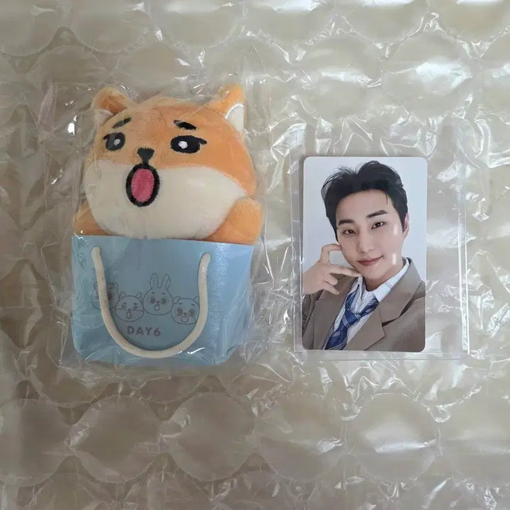 [BUNJANG] DAY6 Young K Younghyun Special Event Bundle Photocard / 데이식스 일본 영케이 영현 백참 포카