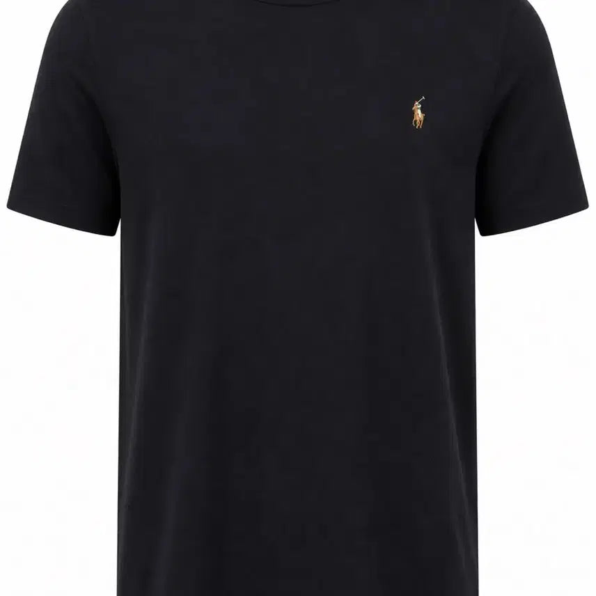 [BUNJANG] Polo Ralph Lauren New Basic Short Sleeve T-Shirt with Color Pony Embroidery - L / 폴로 랄프로렌 신형 기본 반팔티 컬러포니 자수 L