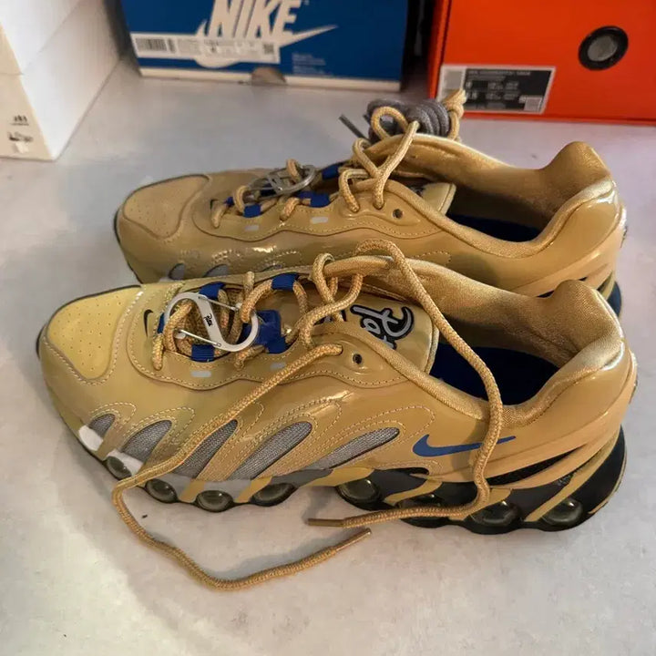 [BUNJANG] Nike x Patta Air Max DN / 나이키 파타 airmax dn
