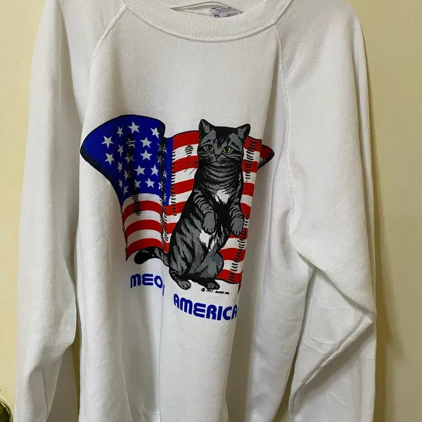[BUNJANG] Vintage Hanes Sweatshirt / 90년대 hanes 맨투맨