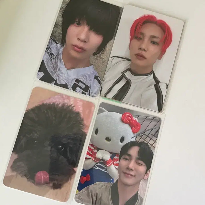[BUNJANG] SHINEE Key Photocard Bundle Set / 샤이니 키 포카 판매