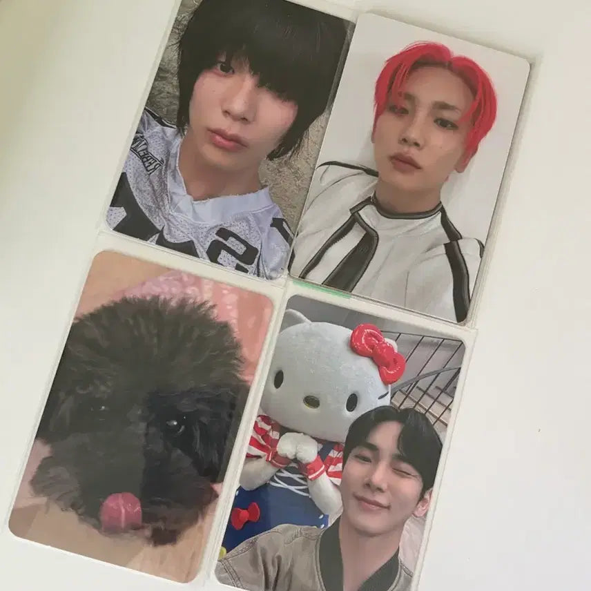 [BUNJANG] SHINEE Key Photocard Bundle Set / 샤이니 키 포카 판매