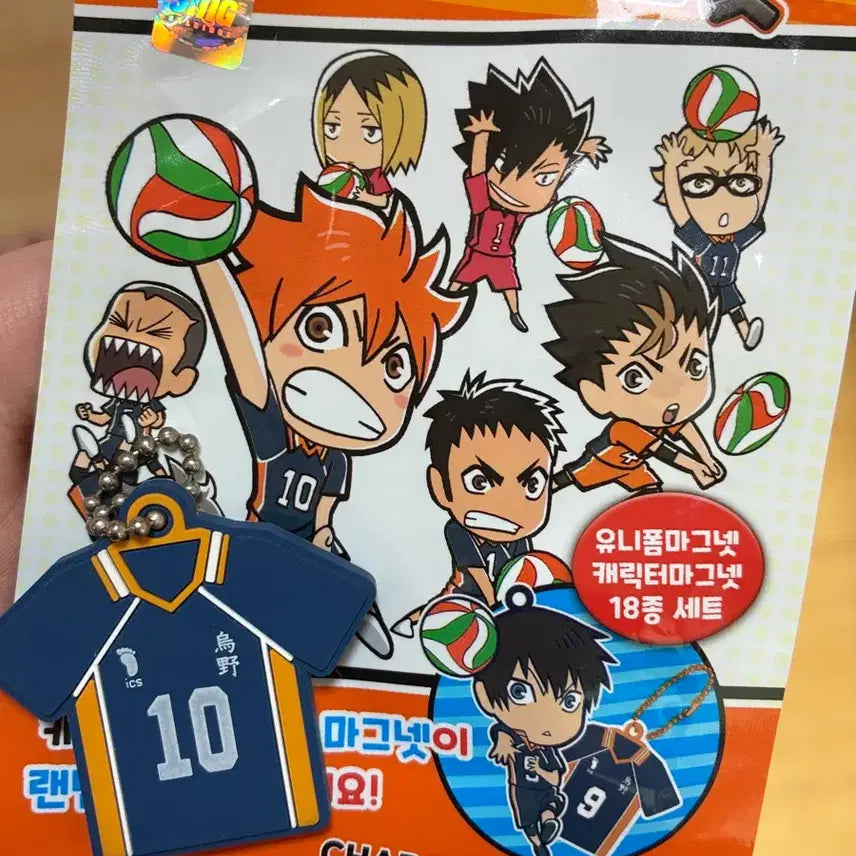 [BUNJANG] Haikyuu!! Hinata Uniform Magnet / 하이큐 유니폼 마그넷 (히나타)