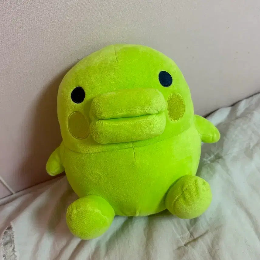 [SOLD OUT] 주댕치 봉제인형
