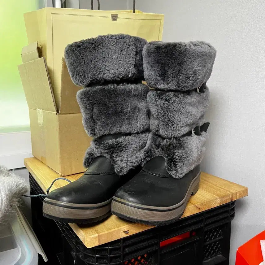 [BUNJANG] UGG Boots / 어그부츠