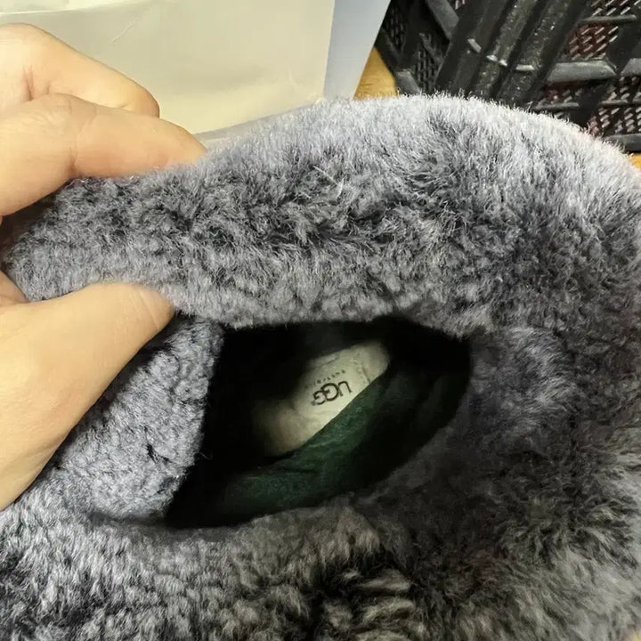 [BUNJANG] UGG Boots / 어그부츠